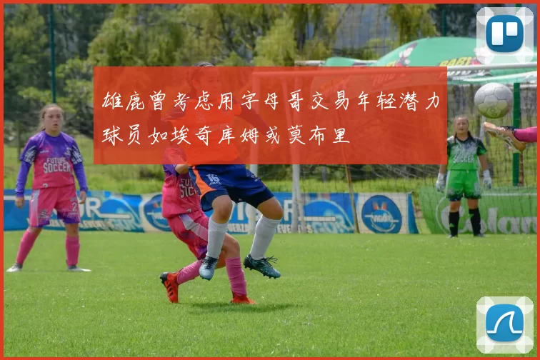 雄鹿曾考虑用字母哥交易年轻潜力球员如埃奇库姆或莫布里